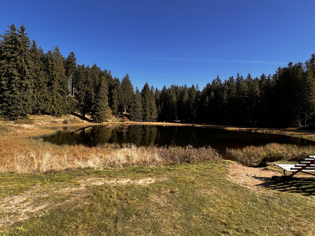 Photo №3 of Schwarze Lacke - Pozza nera