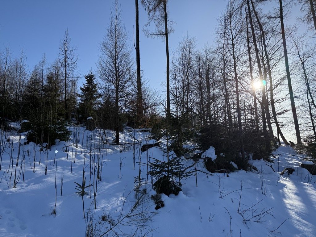 Photo №2 of Schweizerkopf