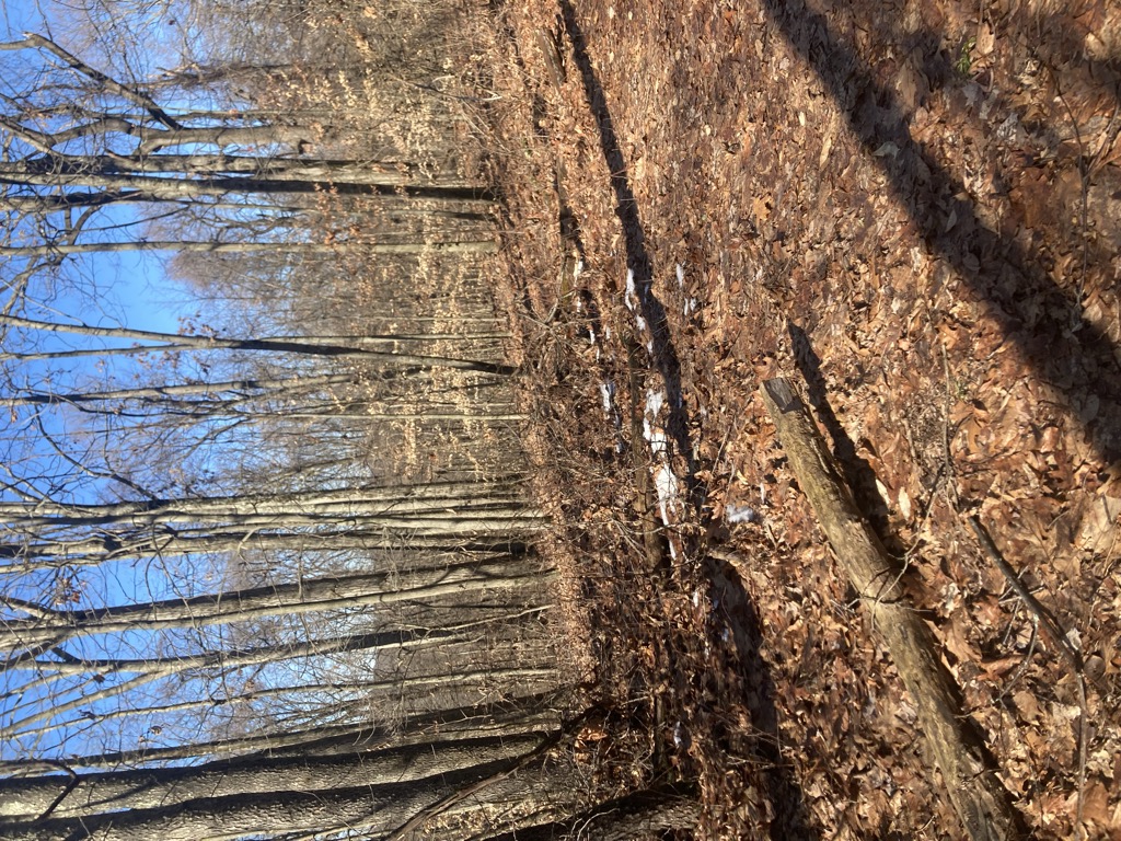 Photo №4 of Scout Knob
