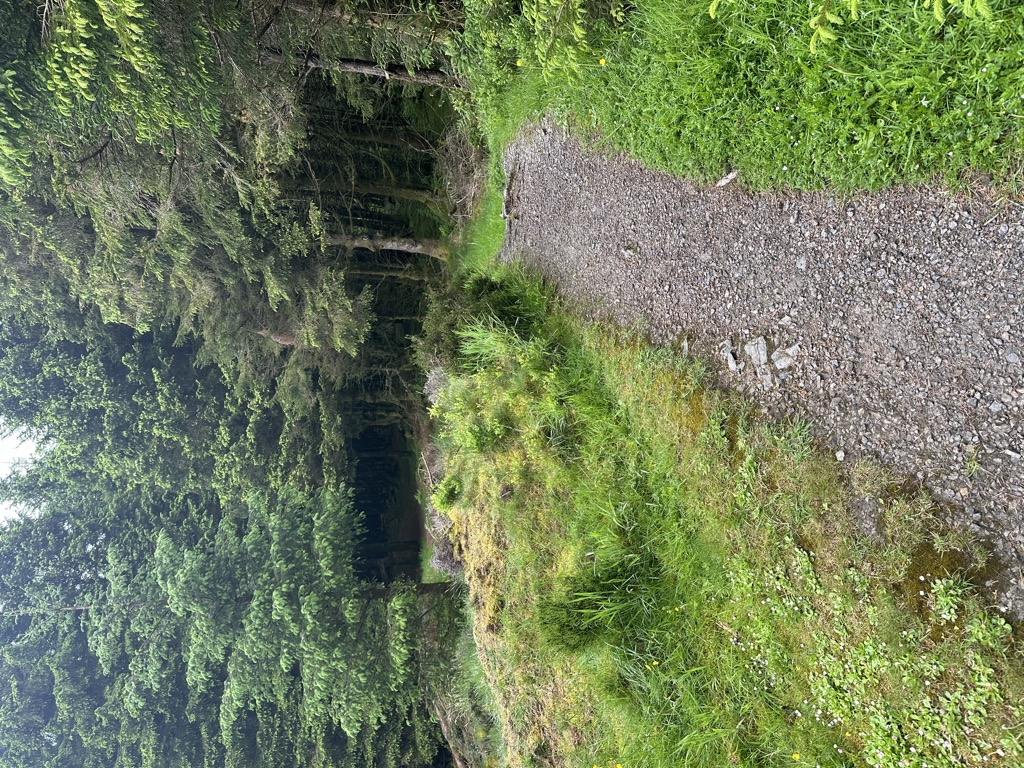 Photo №2 of Ullister Hill