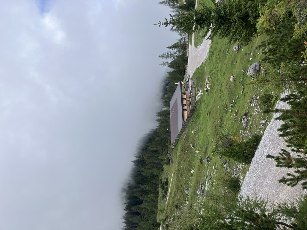 Seeben Alm