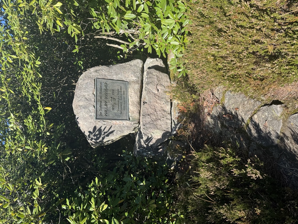 Photo №1 of Seekopf