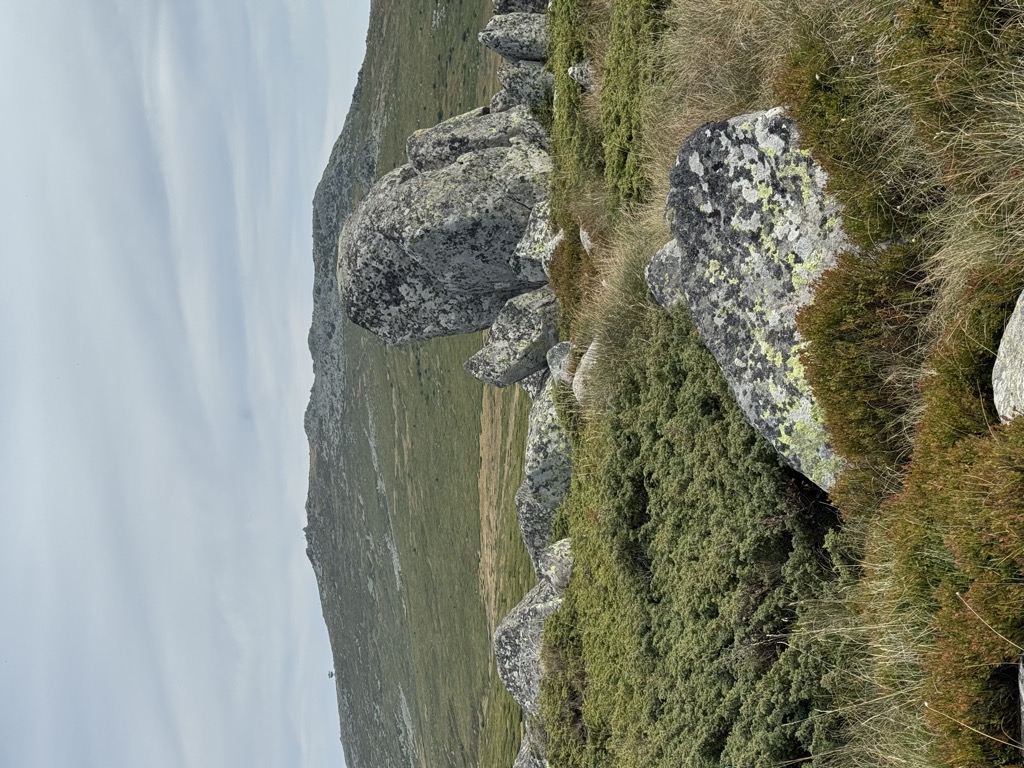 Photo №1 of Selimica