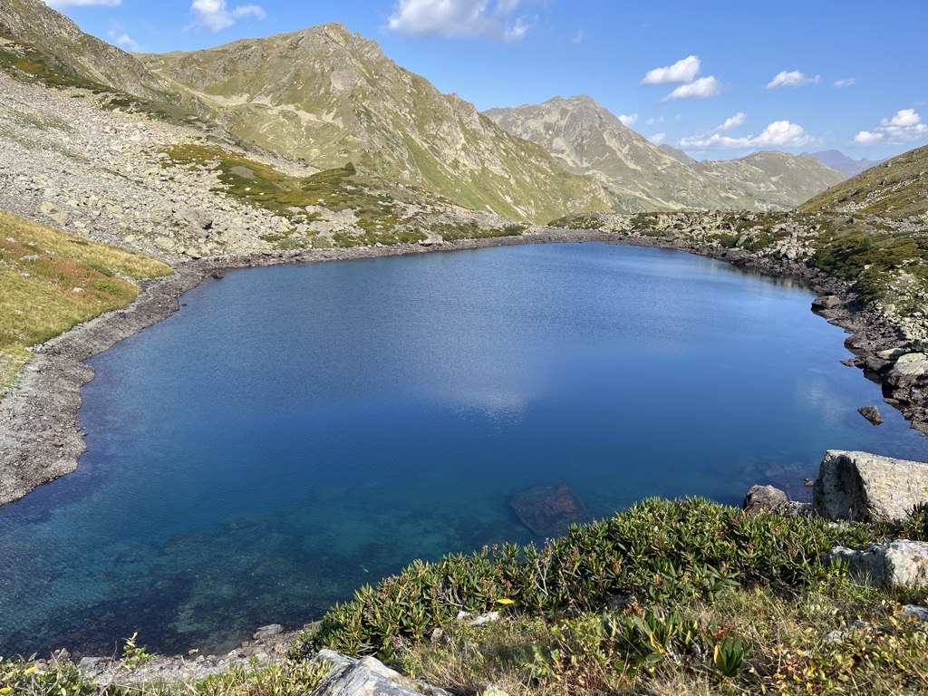 Photo №5 of Semicvetnoe