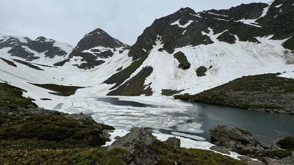 Photo №6 of Semicvetnoe