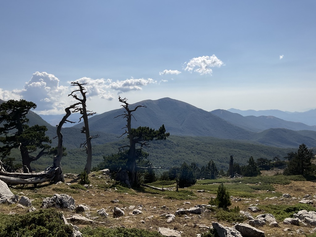 Photo №1 of Serra di Crispo