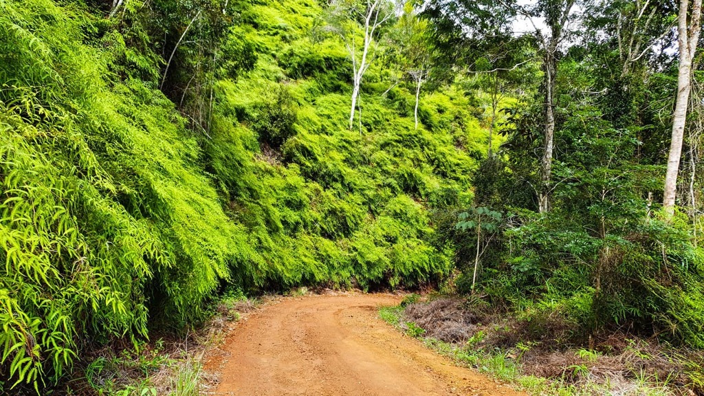 Photo №2 of Serra do Abiá
