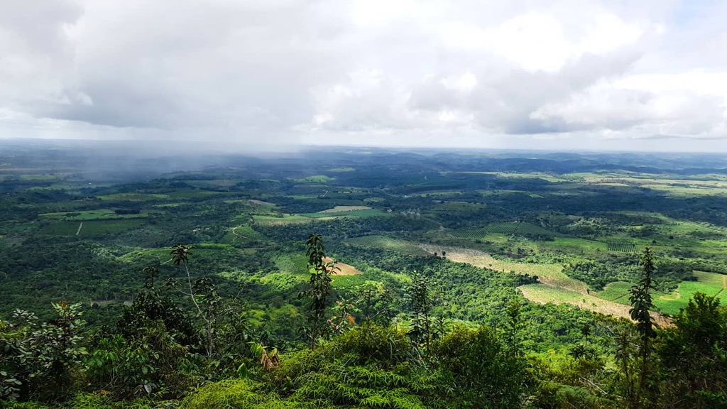 Photo №5 of Serra do Abiá