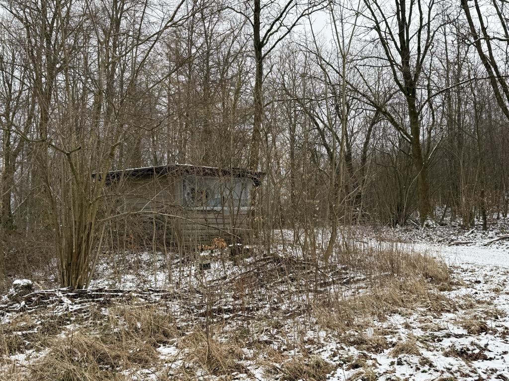 Photo №1 of Sesebühl