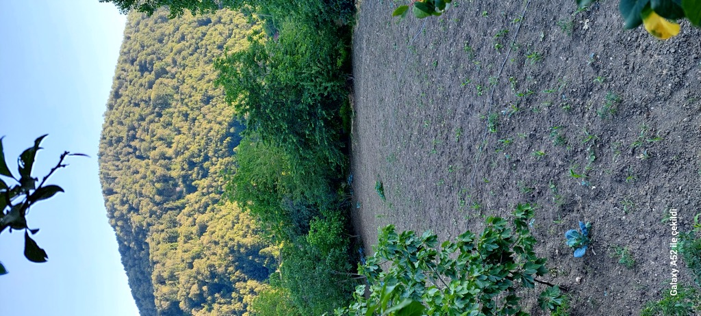 Photo №1 of Setlibaşı Tepesı