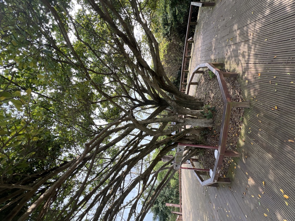 Photo №3 of Shān Bí Shān