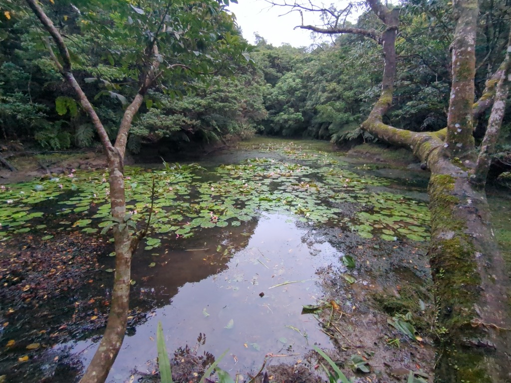 Photo №2 of Shānzhū Lèi Hú