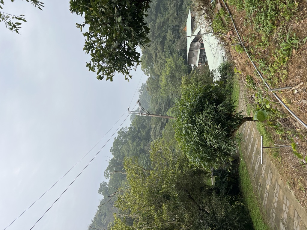 Photo №7 of Shānzhōnghú