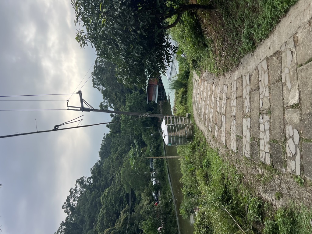 Photo №5 of Shānzhōnghú
