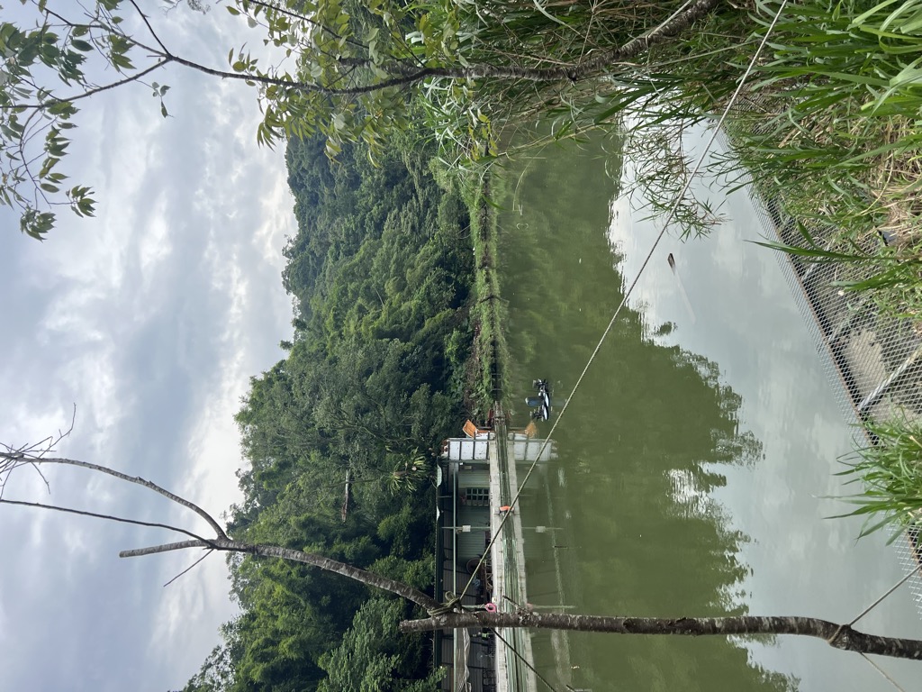 Photo №4 of Shānzhōnghú
