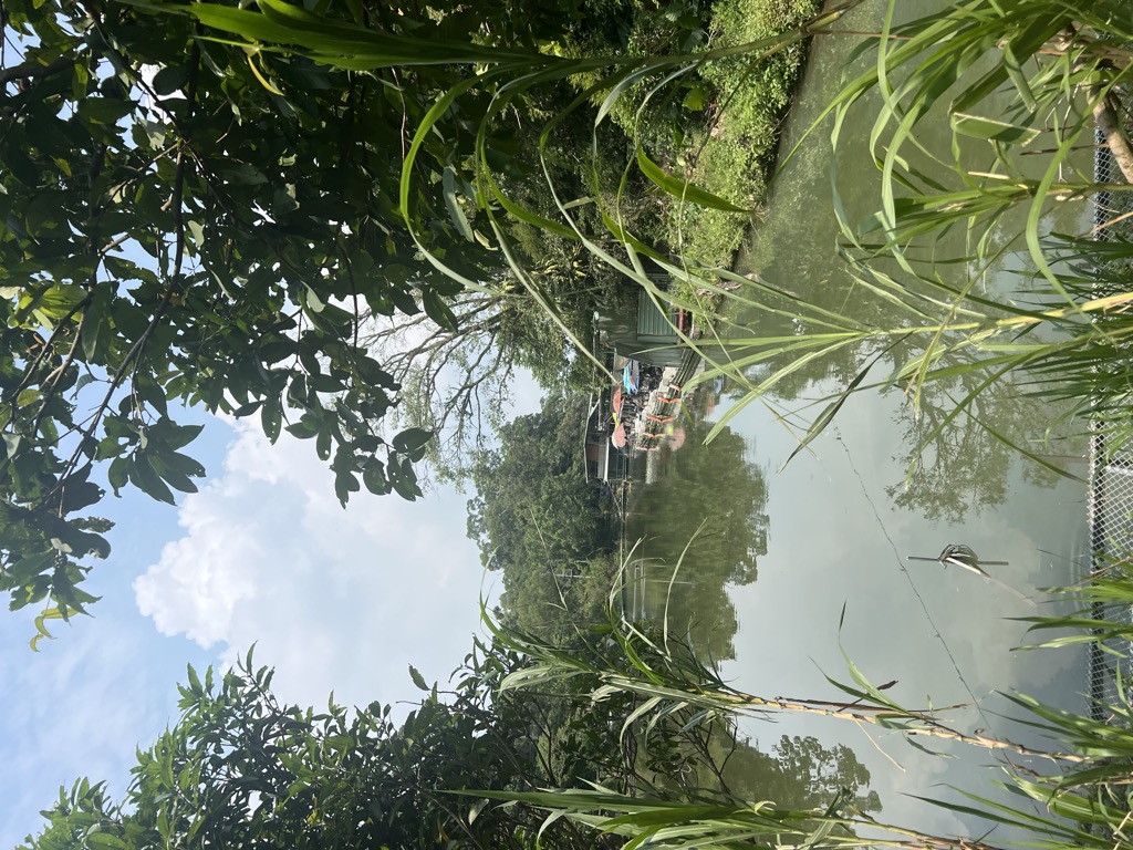 Photo №3 of Shānzhōnghú