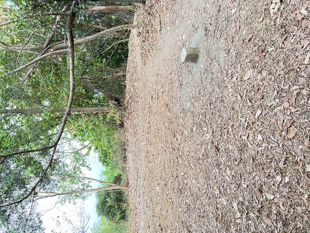 Photo №6 of Shangshulin
