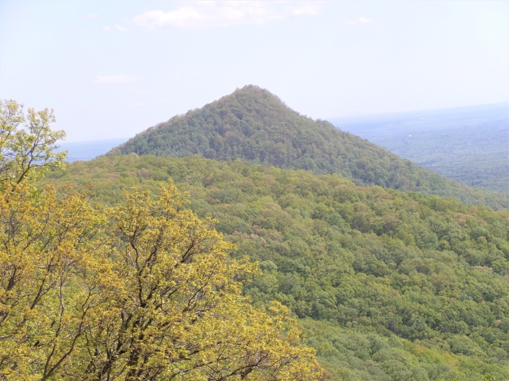 Photo №1 of Sharptop Mountain