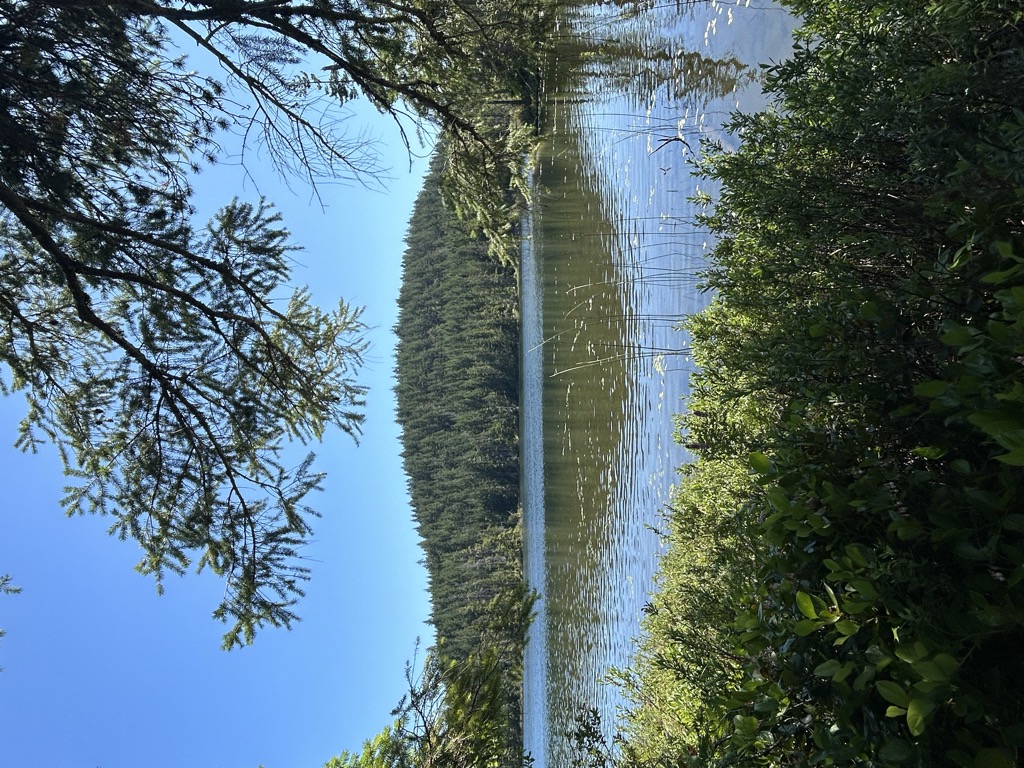 Photo №3 of Sheilds Lake