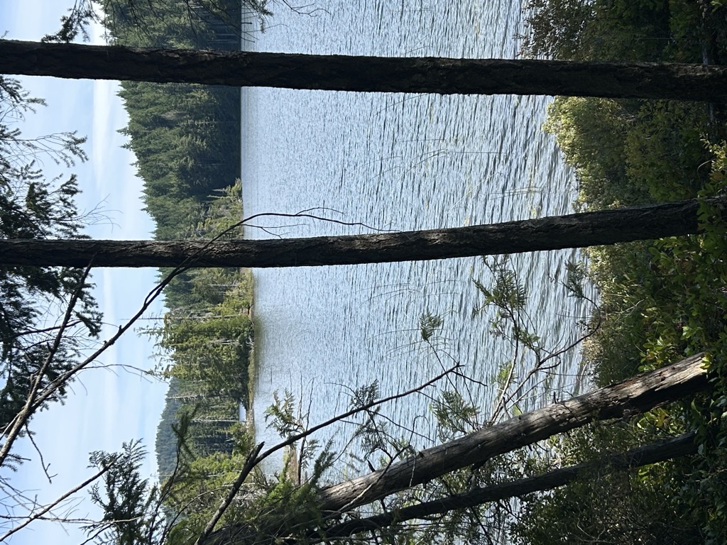 Photo №2 of Sheilds Lake