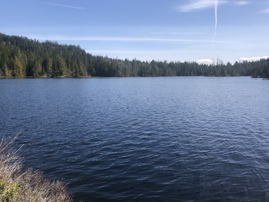 Photo №4 of Sheilds Lake