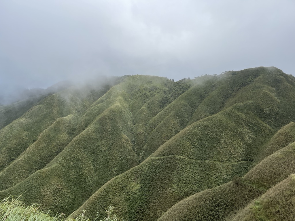 Photo №11 of Shengmufeng