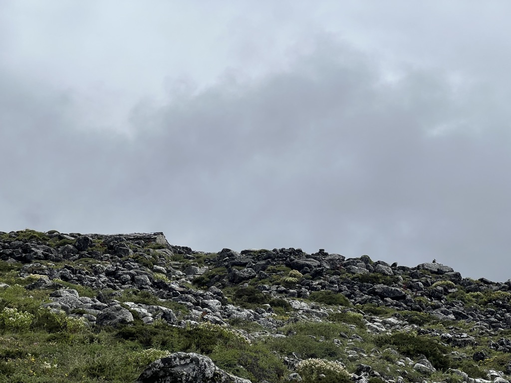 shepherd-s-hut