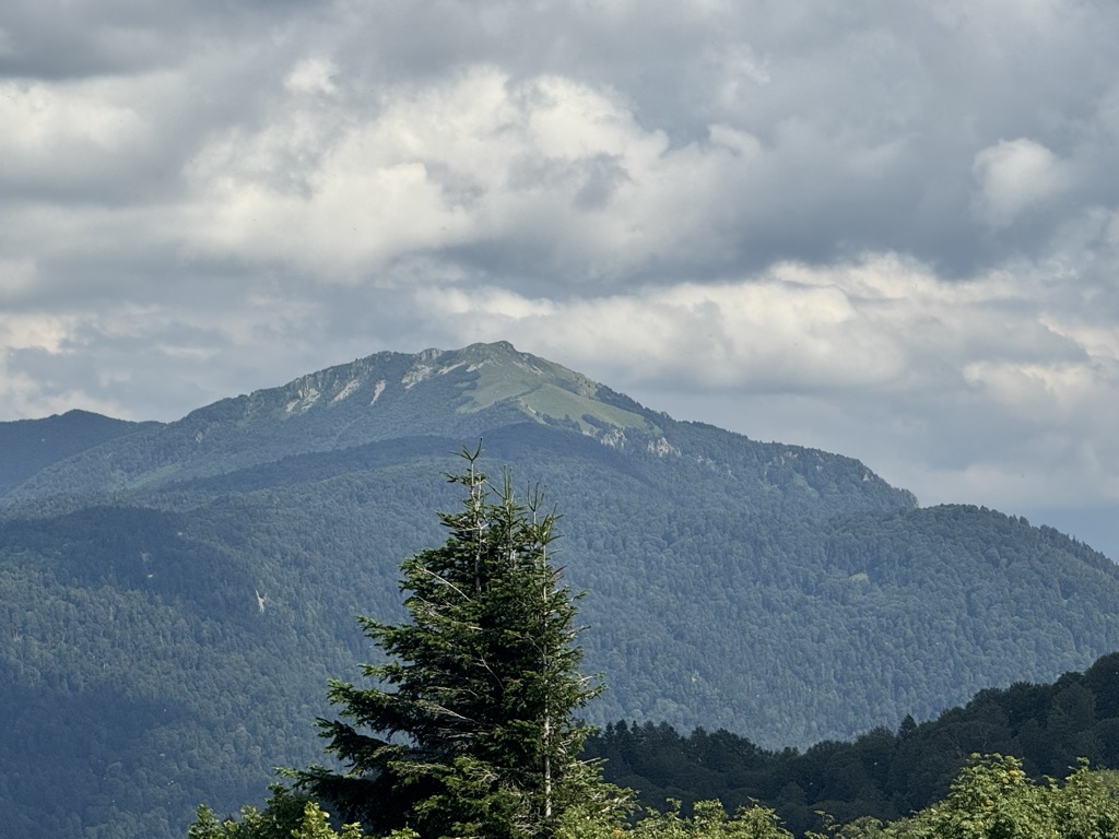 Photo №1 of Shessi