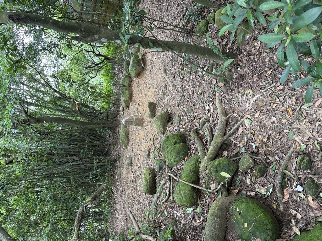 Photo №8 of Shí Bì Tán Shān