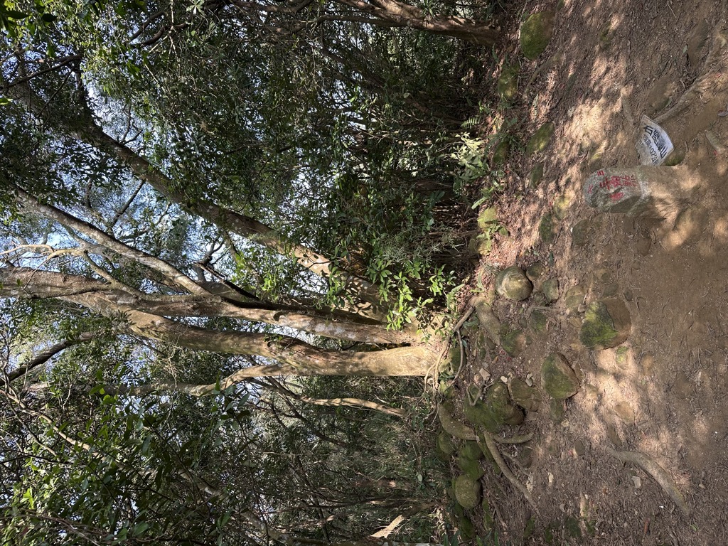 Photo №9 of Shibitanshan