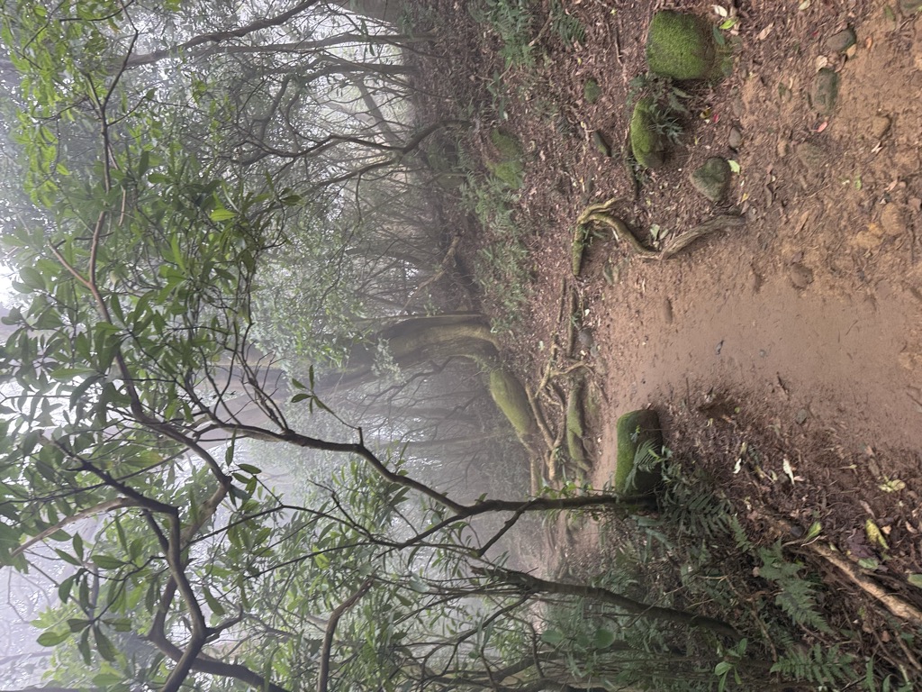 Photo №6 of Shibitanshan