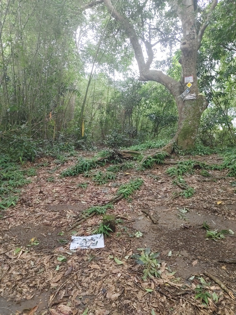 Photo №3 of Shisanfenshan