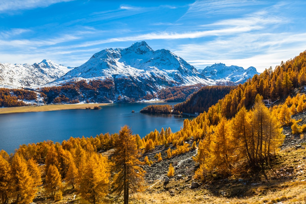 Sils Lake in the fall. Fall Foliage in Europe