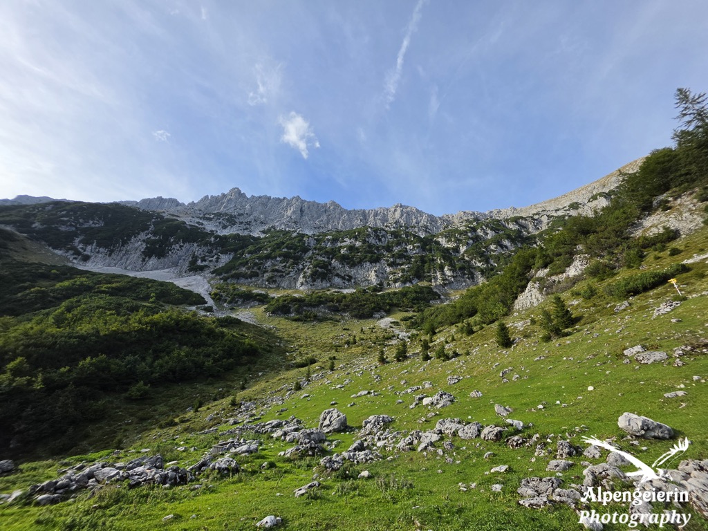 Alpengeierin