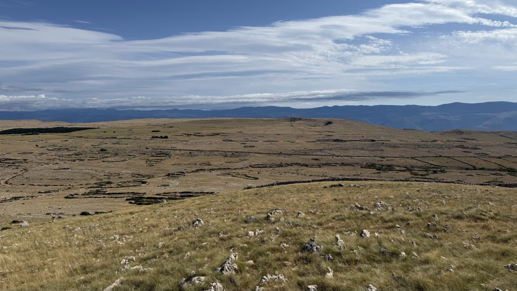 iva pauzar