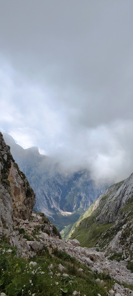 Radovan Jovanovic
