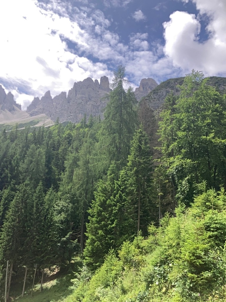 GUERZONI STEFANO