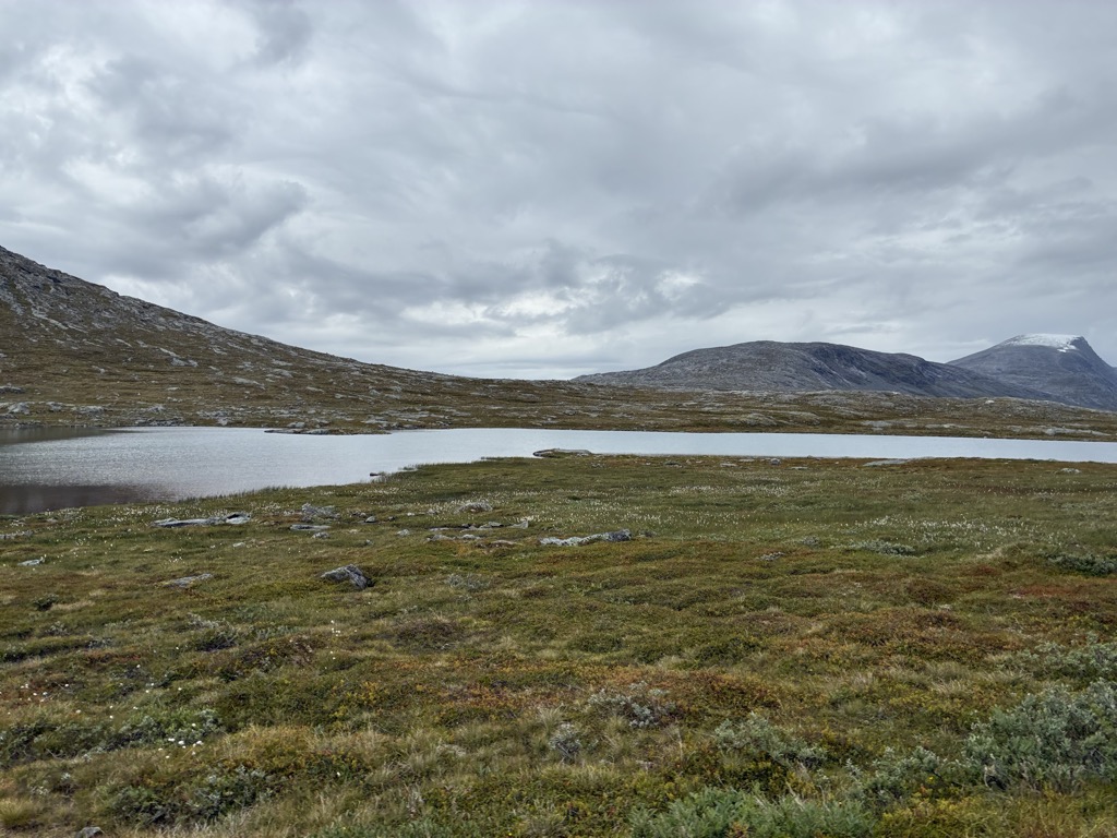 kraemera