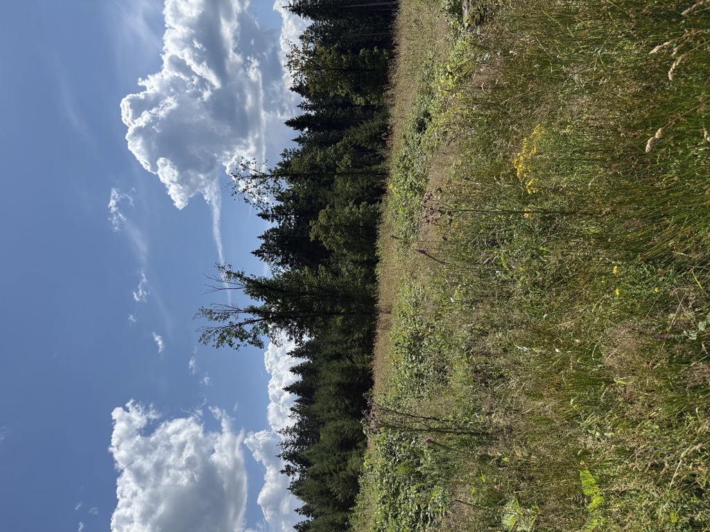 Photo №2 of Siegelskopf
