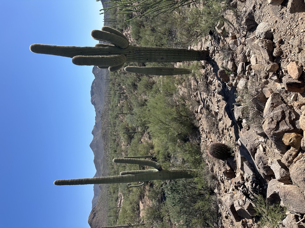 Photo №1 of Signal Hill
