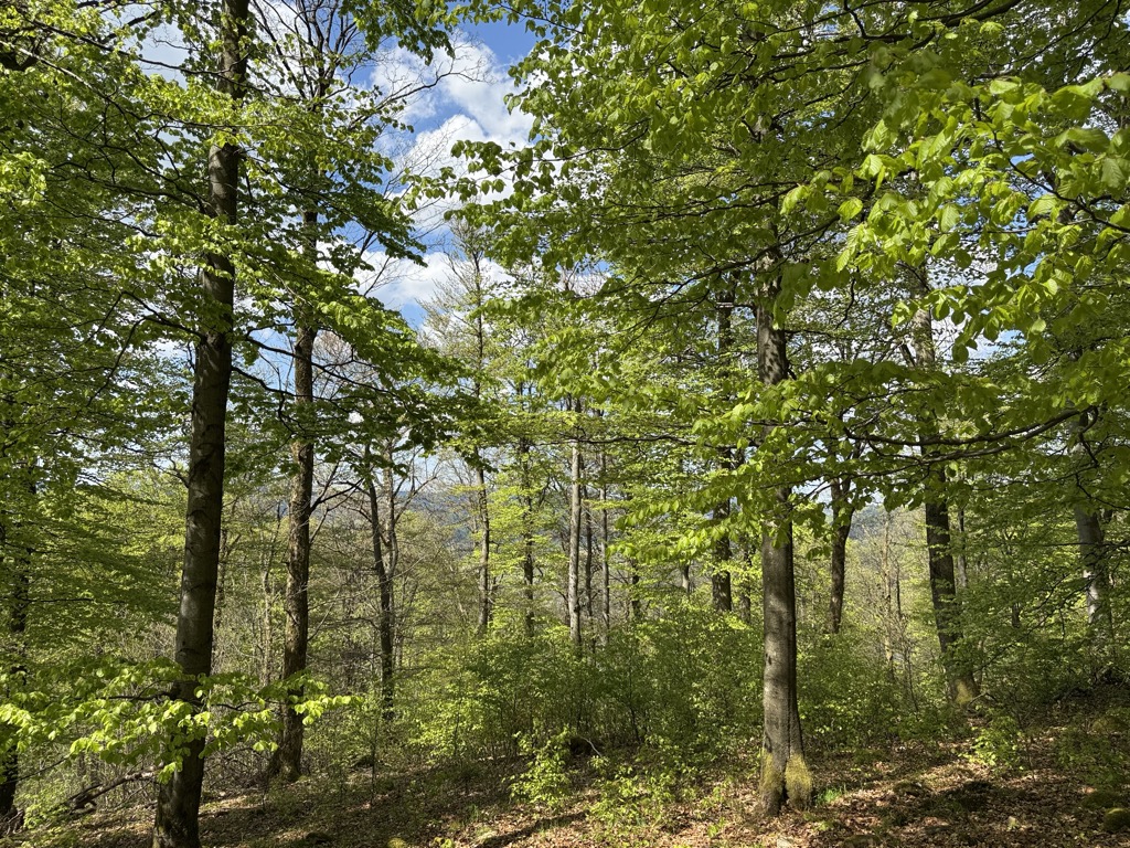 Silberberg