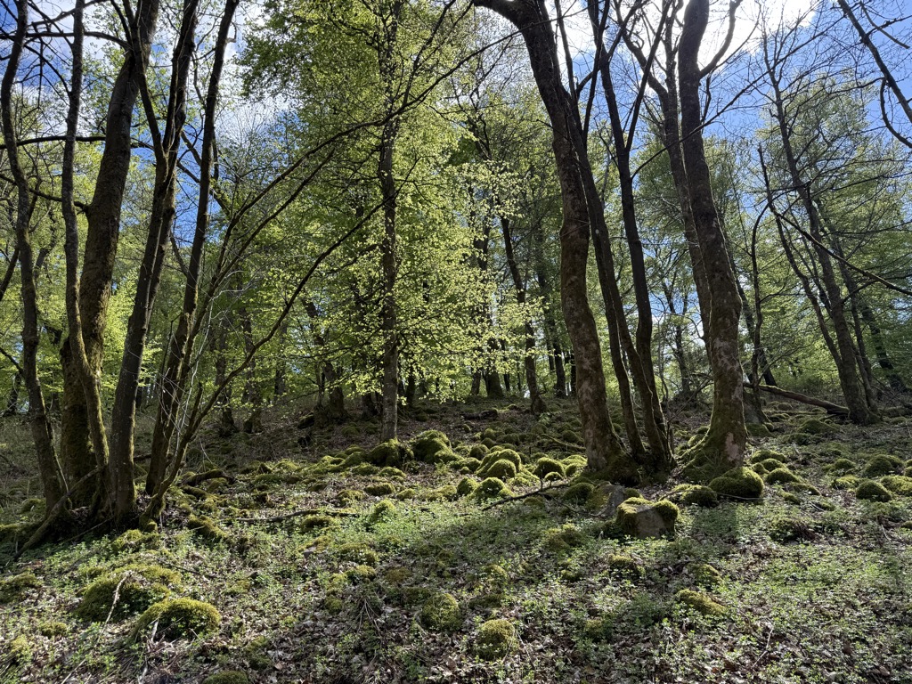 Silberberg
