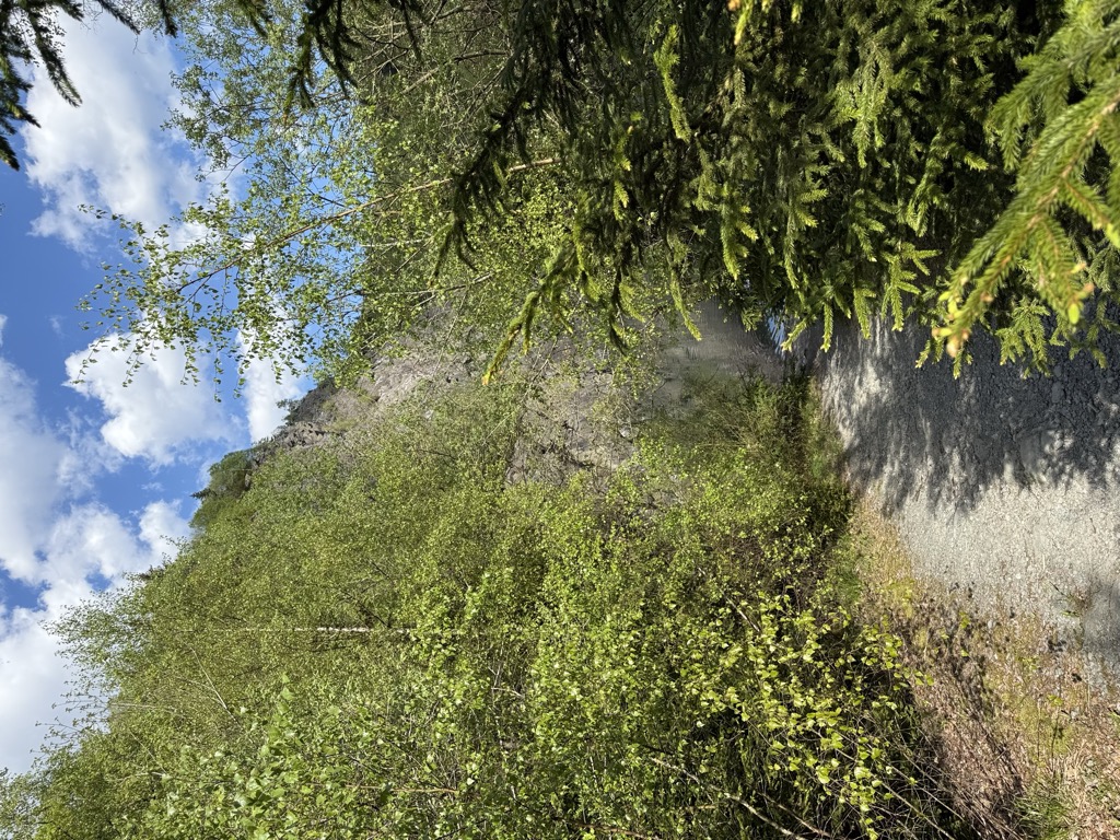 Photo №2 of Silbersee