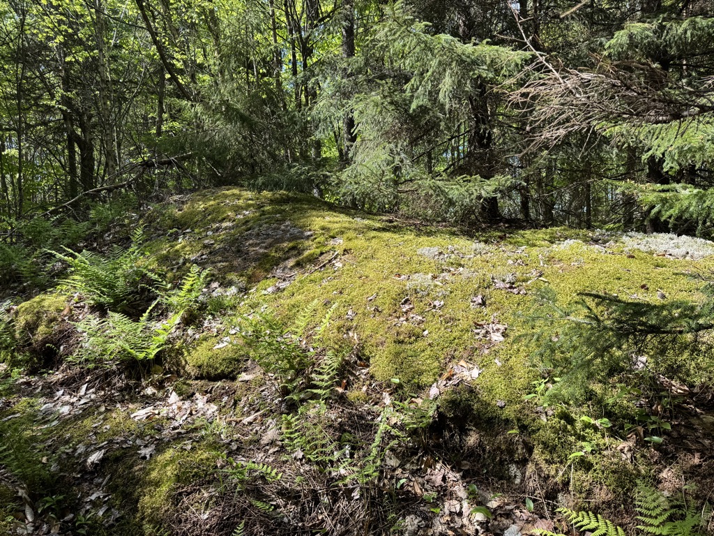 Photo №2 of Silver Lake Mountains