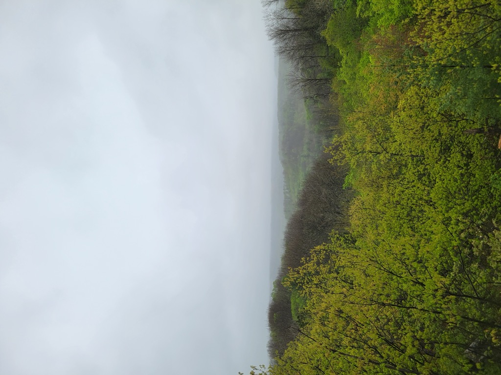 Photo №1 of Silver Mount