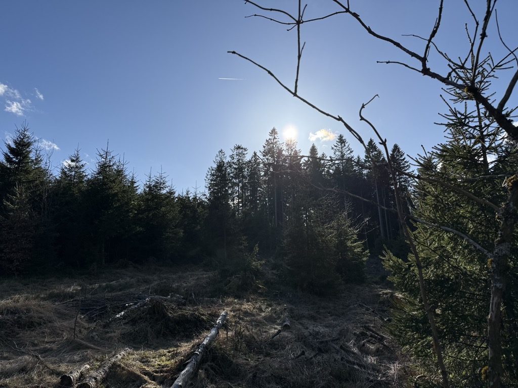 Photo №2 of Singerberg