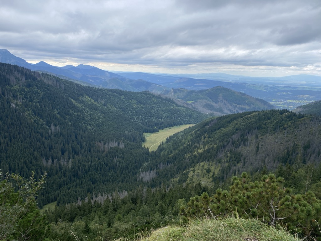 Photo №2 of Siodło