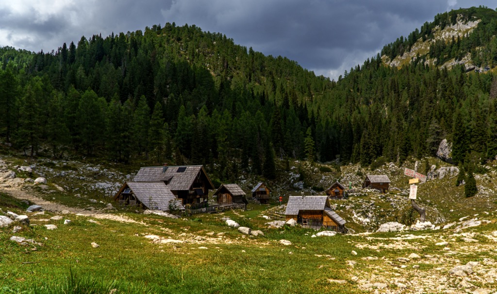 sirarna-dedno-polje
