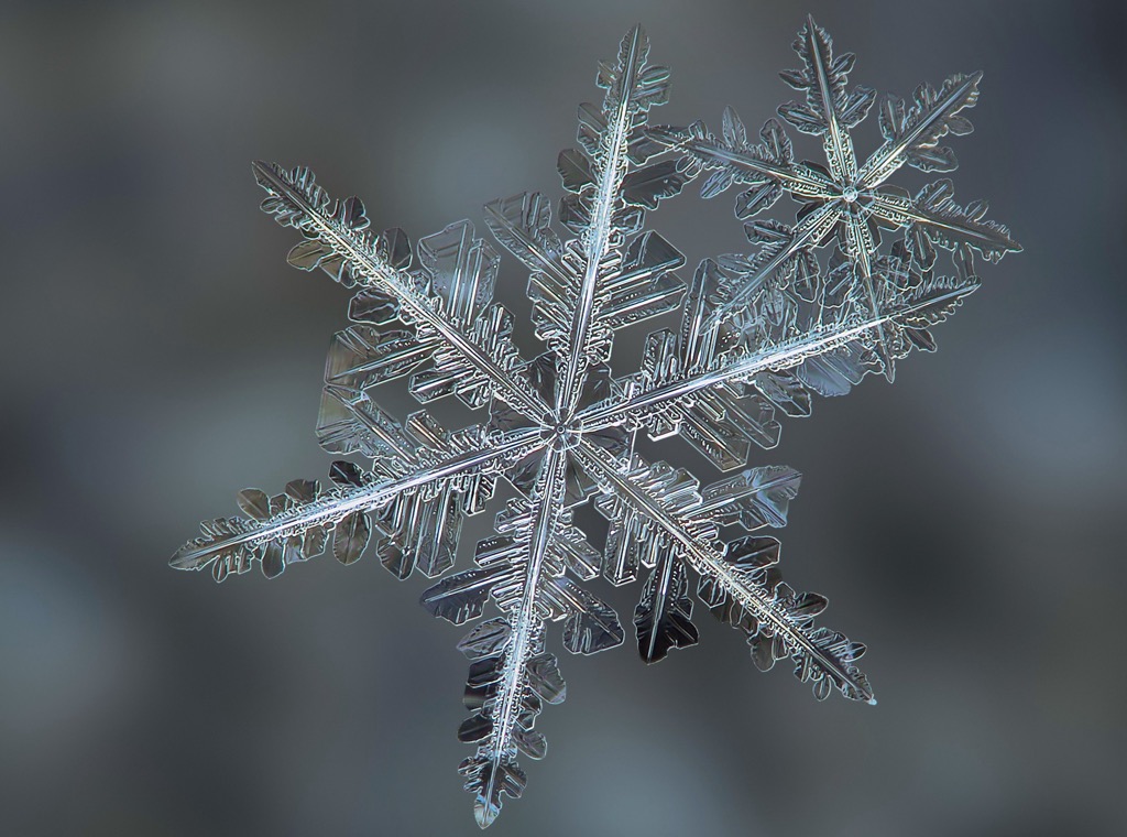Pssst! So findest du den besten Schnee abseits der Piste 
            Ein stellarer Dendrit mit wunderschöner Kristallstruktur.