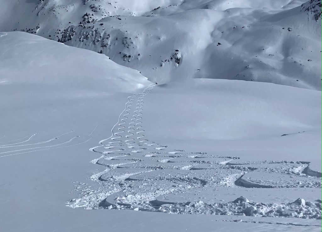 Sekrety znajdowania najlepszego śniegu poza trasami. The infamous “wiggle”. Zdjęcie: Sergei Poljak